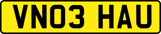 VN03HAU