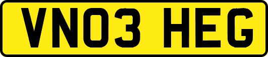 VN03HEG