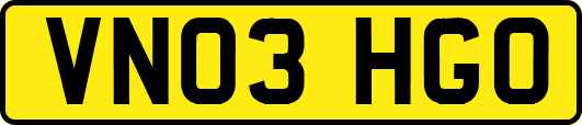 VN03HGO
