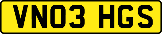 VN03HGS