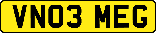 VN03MEG