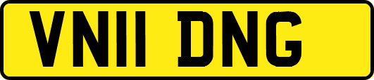 VN11DNG