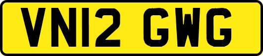 VN12GWG