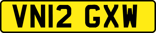 VN12GXW