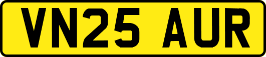 VN25AUR