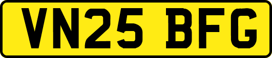 VN25BFG
