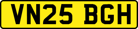 VN25BGH