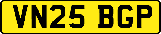 VN25BGP