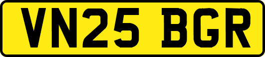VN25BGR