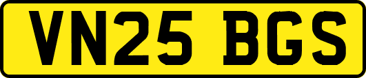 VN25BGS