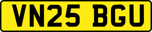 VN25BGU
