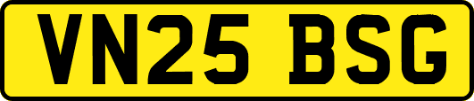 VN25BSG