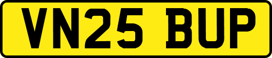 VN25BUP