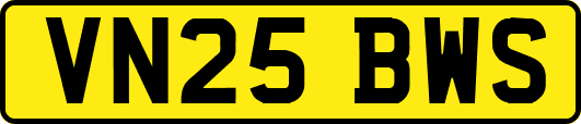 VN25BWS
