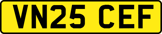VN25CEF