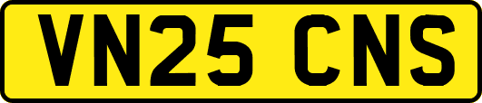 VN25CNS