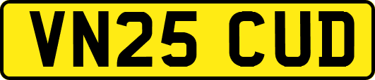 VN25CUD