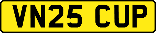 VN25CUP