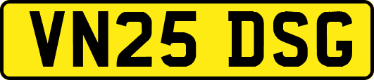 VN25DSG