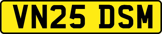 VN25DSM