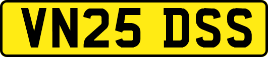 VN25DSS
