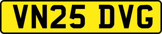 VN25DVG