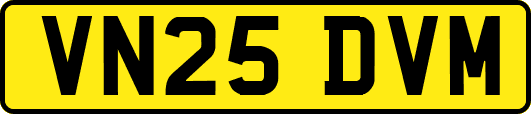 VN25DVM