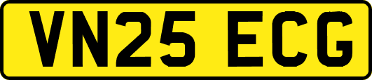 VN25ECG