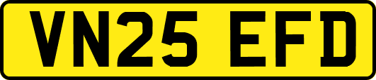VN25EFD