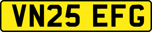 VN25EFG