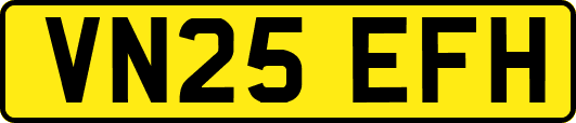 VN25EFH