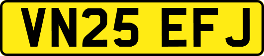 VN25EFJ