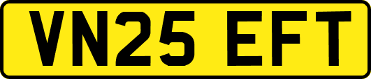 VN25EFT