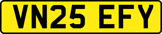 VN25EFY