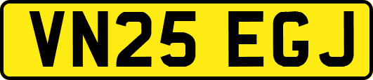 VN25EGJ