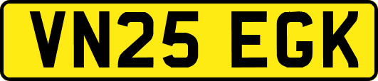 VN25EGK