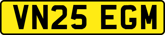 VN25EGM