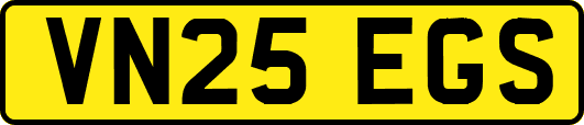 VN25EGS