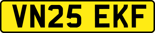VN25EKF