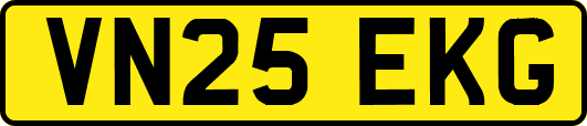 VN25EKG