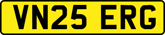 VN25ERG