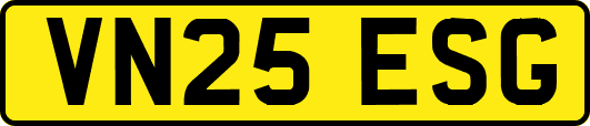 VN25ESG