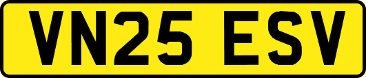 VN25ESV