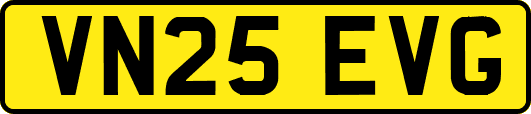 VN25EVG