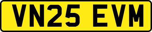 VN25EVM