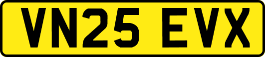 VN25EVX