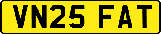 VN25FAT