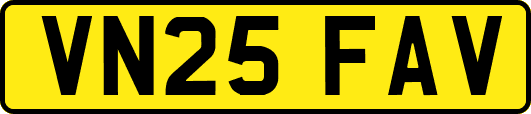 VN25FAV