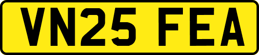 VN25FEA
