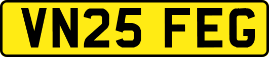 VN25FEG